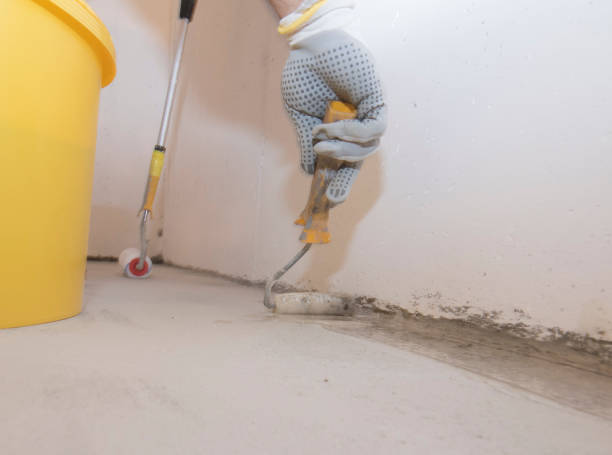 Best Termite Inspection and Treatment  in Parole, MD